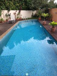 Serangoon Garden Estate (D19), Terrace #142855082